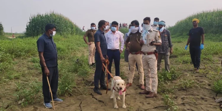 भागलपुर में दिल दहला देने वाला मर्डर! शव के किए 5 टुकड़े, कटा सिर साथ ले गए कातिल 1 add a heading 25