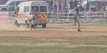 bihar 2