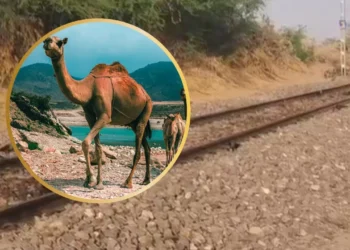 news 2026 03 16t111748.495