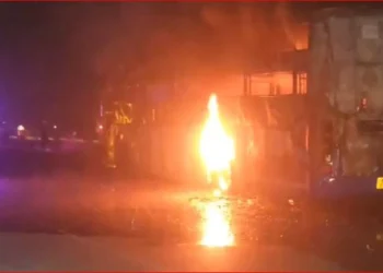 qq