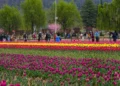 srinagar garden