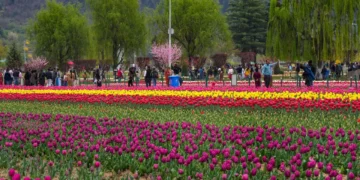 srinagar garden