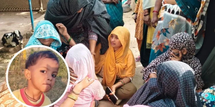 up news 1280 720 2026 03 15t130638.793 1