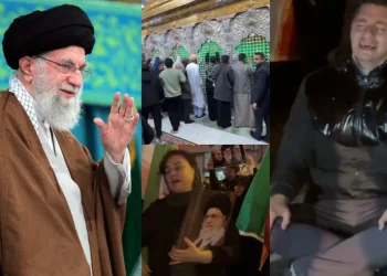 whatsapp image 2026 03 01 at 8.43.06 am