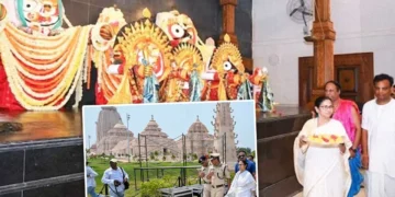 whatsapp image 2026 03 17 at 12.25.07 pm