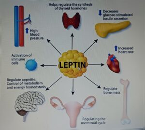 WhatsApp Image 2026 04 07 at 1.28.24 AM 1