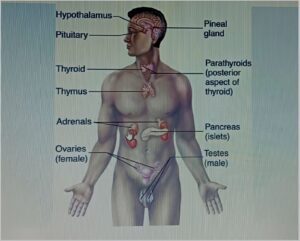 WhatsApp Image 2026 04 07 at 1.28.24 AM