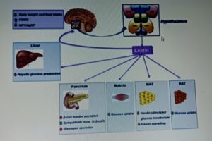 WhatsApp Image 2026 04 07 at 1.28.25 AM