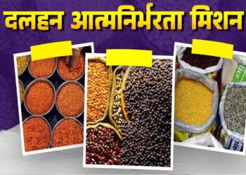 मिशन फॉर आत्मनिर्भरता इन पल्सेस की गतिविधियों की मॉनिटरिंग के लिए राज्य संचालन समिति गठित 2 20A 217 1