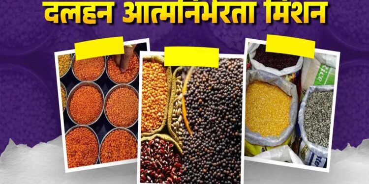 मिशन फॉर आत्मनिर्भरता इन पल्सेस की गतिविधियों की मॉनिटरिंग के लिए राज्य संचालन समिति गठित 1 20A 217 1