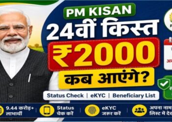 Pm Kisan 24Th Installment: 24वीं किस्त पर बड़ा अपडेट, जानें किसानों के खाते में कब आएंगे ₹2,000 4 6228 pm kisan 24th installment 24557658705 678474375094260 991149 229066199399 716153529512