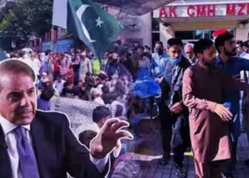 पीओके में हिंसा के बाद बैकफुट पर Pml-N, प्रदर्शनकारियों से बातचीत को तैयार शहबाज सरकार 6 8466 946750184217949 087937929 019791739232283 279554 408096149 766592353