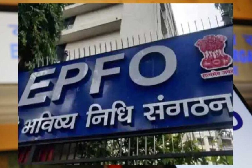 EPFO Alert: फर्जीवाड़े से बचना है तो तुरंत करें ये 6 काम, छोटी सी गलती पड़ सकती है भारी