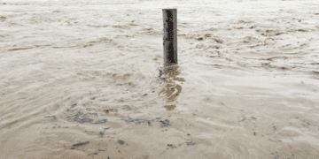UP Floods: कानपुर में पांडु नदी का कहर, 150 से ज्यादा परिवारों ने किया पलायन; गंगा भी चेतावनी बिंदु के पार